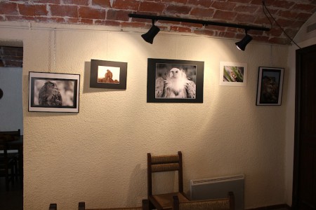 Juil.2012/Baixas (66)